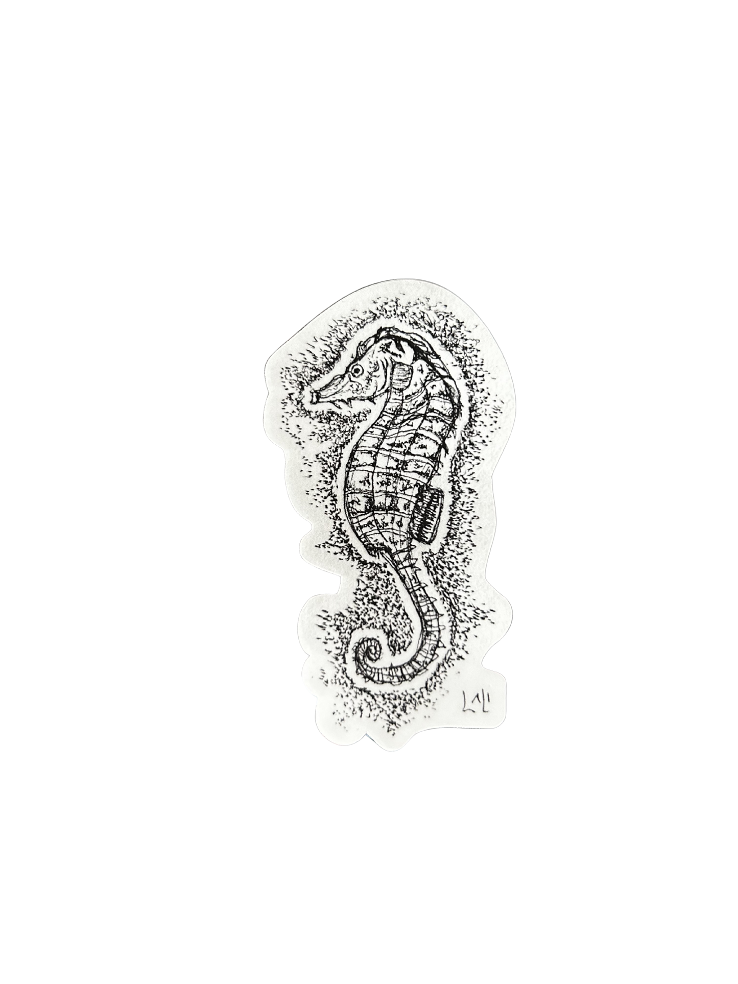 Seahorse magic