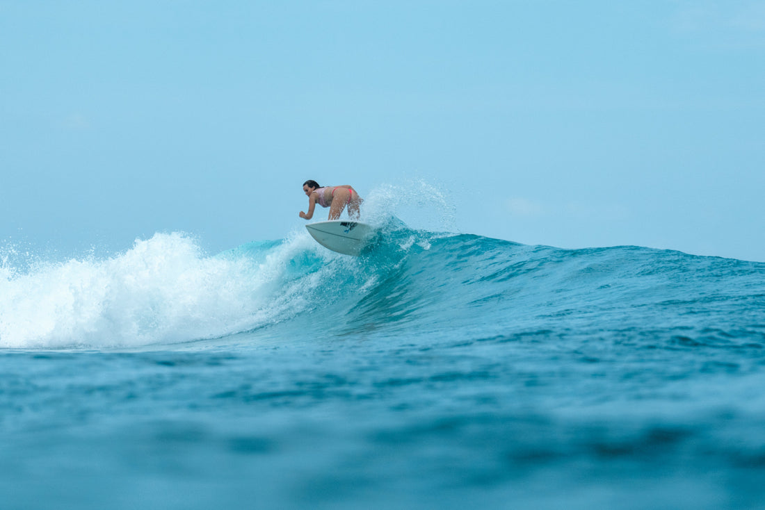 The chosen Path ⋆˚✿˖°. Pt 1