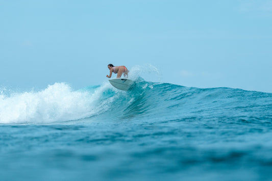 The chosen Path ⋆˚✿˖°. Pt 1