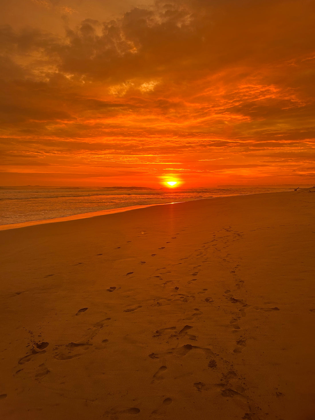 The Chosen Path ⋆˚✿˖°.  Pt 2