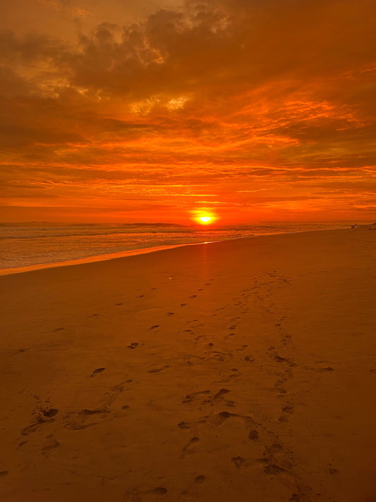 The Chosen Path ⋆˚✿˖°.  Pt 2