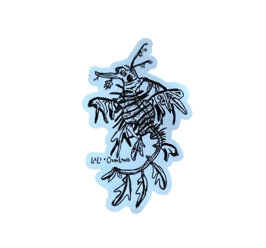 Leafy Sea dragon