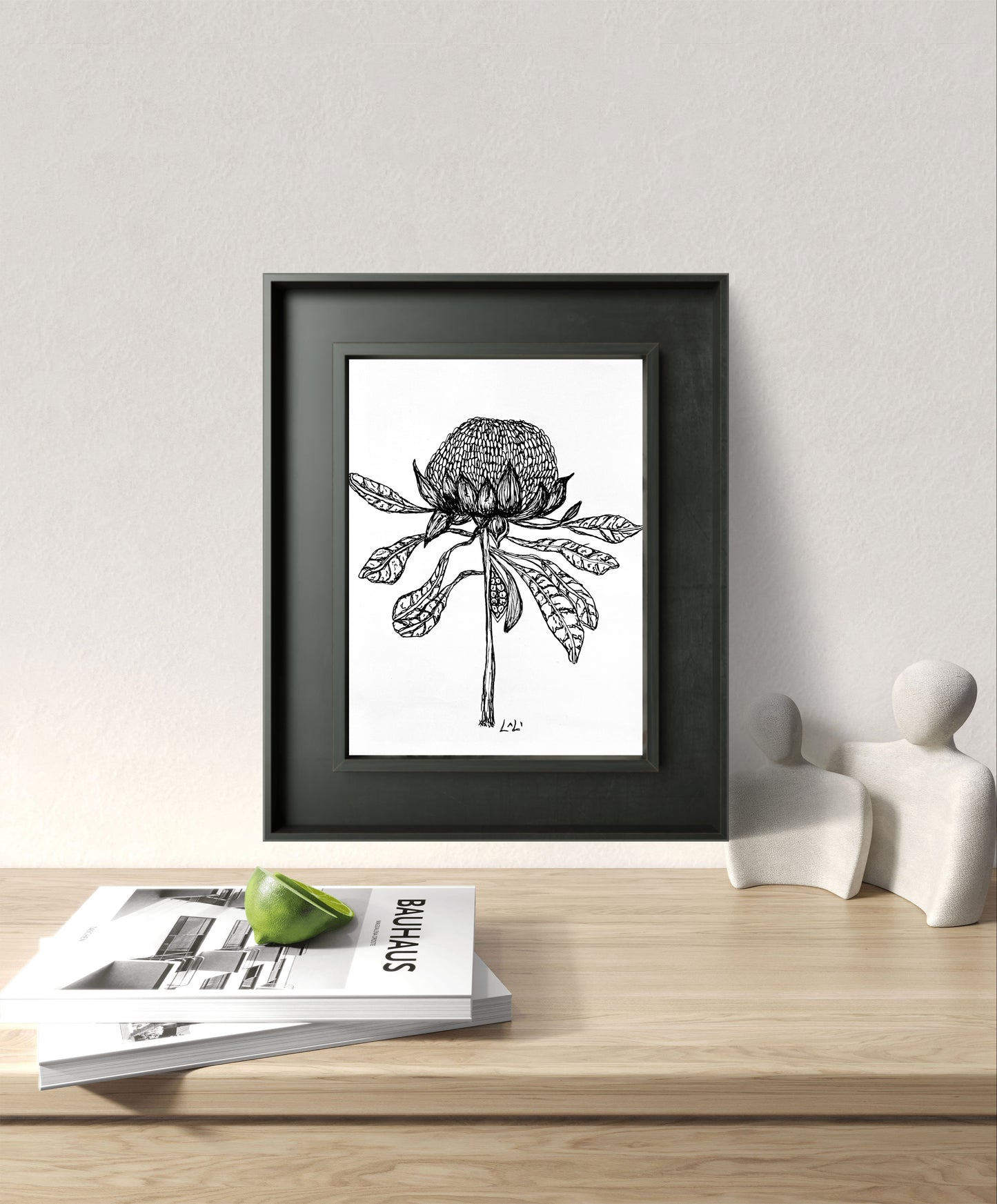 Waratah Black and white