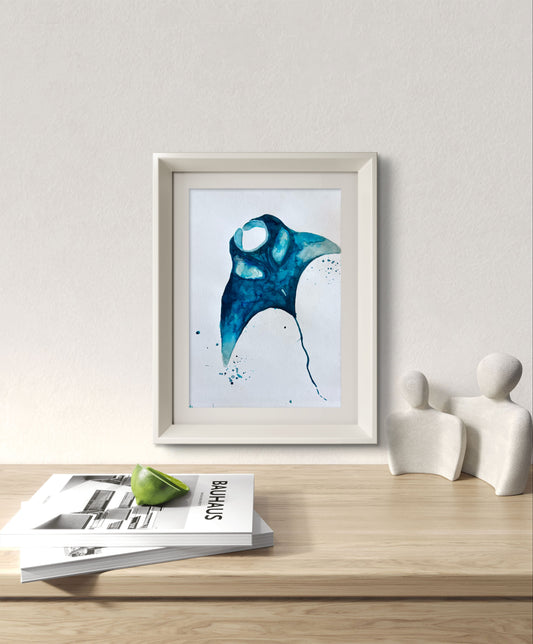 Manta Ray