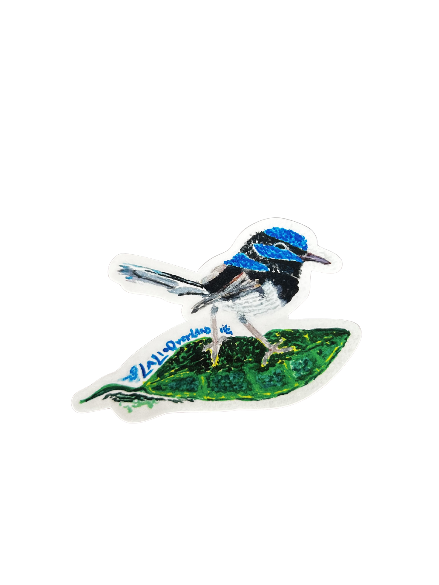 Fairywren Bird