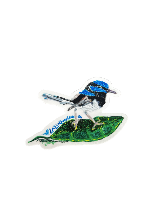 Fairywren Bird