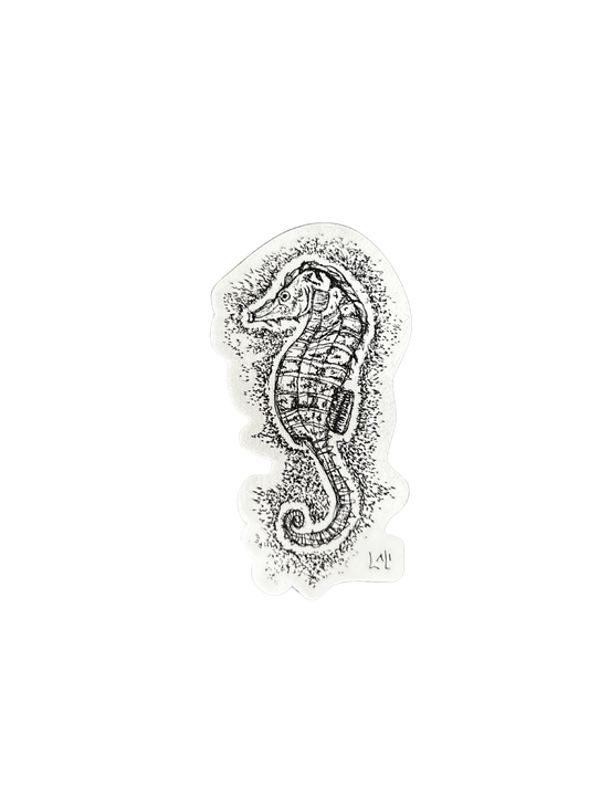 Seahorse magic
