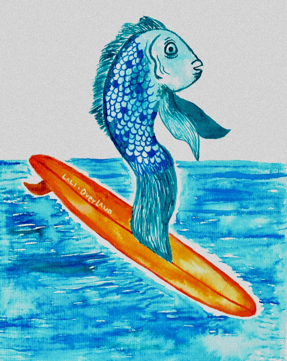 Surfing fish