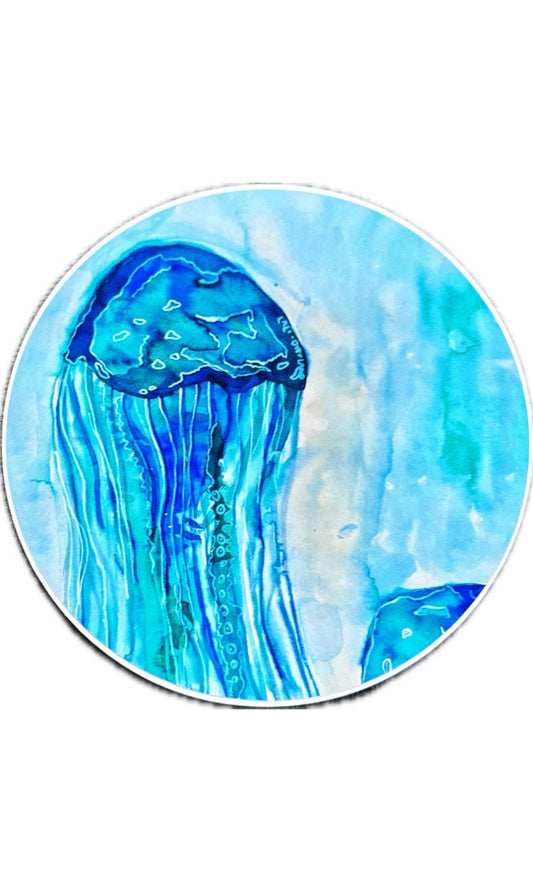 Jellyfish