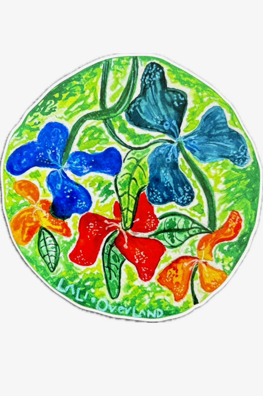 Vibrant Flowers