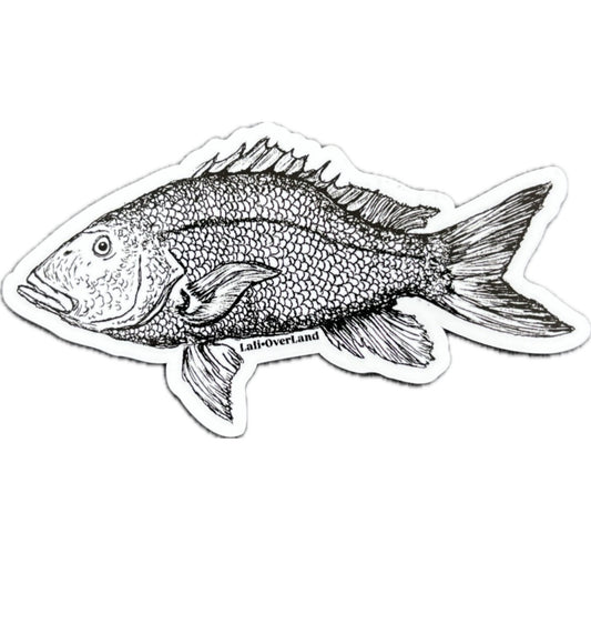 Black and white fish