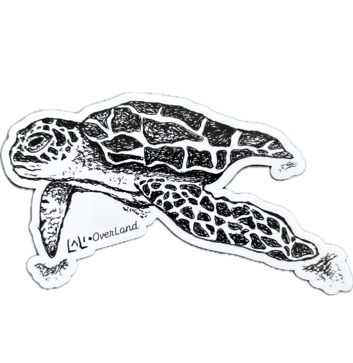 Sea Turtle
