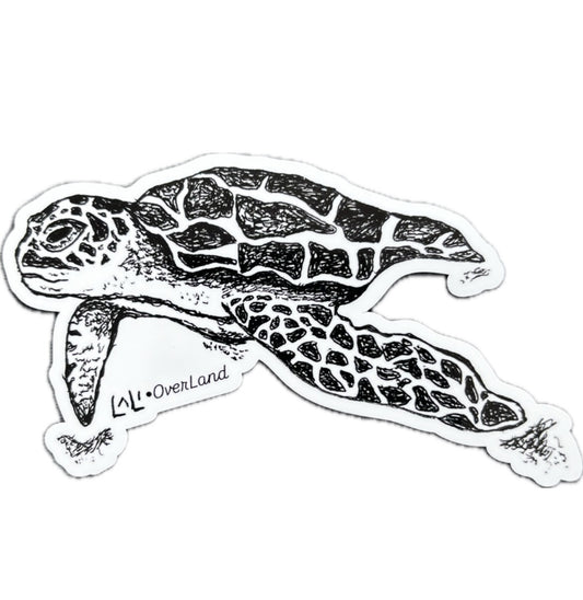 Sea Turtle