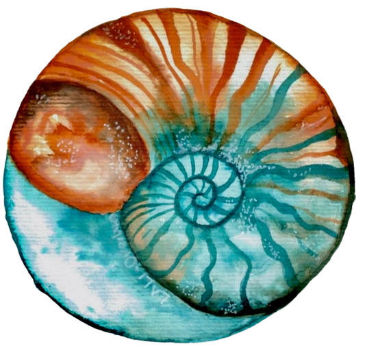 Nautilus